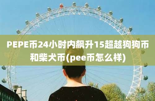 PEPE币24小时内飙升15超越狗狗币和柴犬币(pee币怎么样)