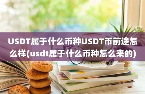 USDT属于什么币种USDT币前途怎么样(usdt属于什么币种怎么来的)