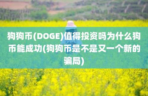 狗狗币(DOGE)值得投资吗为什么狗币能成功(狗狗币是不是又一个新的骗局)