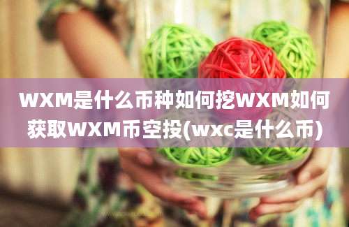 WXM是什么币种如何挖WXM如何获取WXM币空投(wxc是什么币)