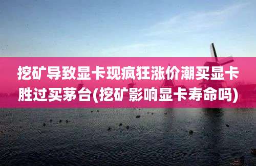 挖矿导致显卡现疯狂涨价潮买显卡胜过买茅台(挖矿影响显卡寿命吗)