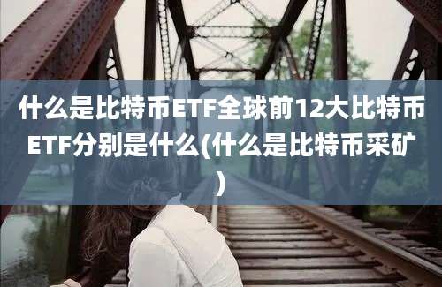 什么是比特币ETF全球前12大比特币ETF分别是什么(什么是比特币采矿)