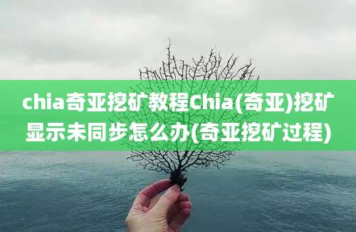 chia奇亚挖矿教程Chia(奇亚)挖矿显示未同步怎么办(奇亚挖矿过程)