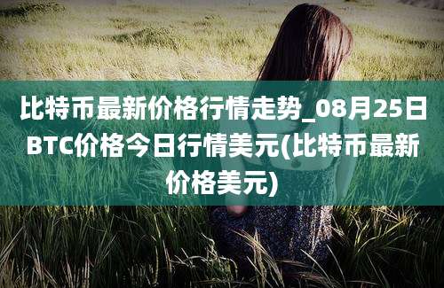 比特币最新价格行情走势_08月25日BTC价格今日行情美元(比特币最新价格美元)