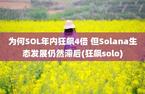 为何SOL年内狂飙4倍 但Solana生态发展仍然滞后(狂飙solo)