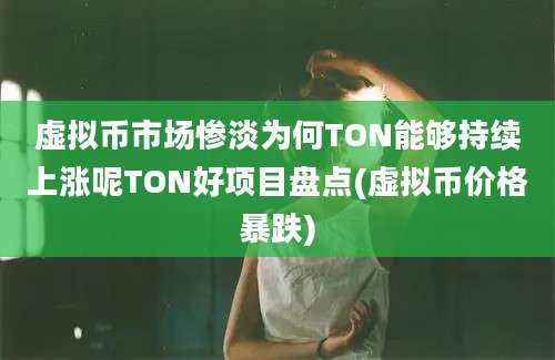 虚拟币市场惨淡为何TON能够持续上涨呢TON好项目盘点(虚拟币价格暴跌)