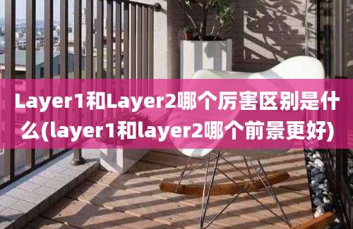 Layer1和Layer2哪个厉害区别是什么(layer1和layer2哪个前景更好)