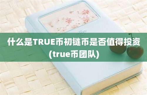 什么是TRUE币初链币是否值得投资(true币团队)