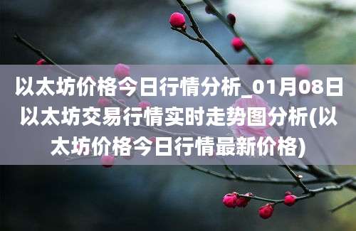 以太坊价格今日行情分析_01月08日以太坊交易行情实时走势图分析(以太坊价格今日行情最新价格)