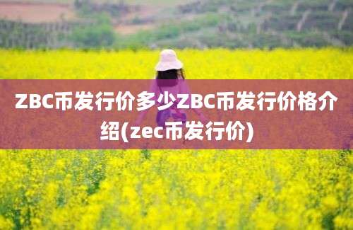 ZBC币发行价多少ZBC币发行价格介绍(zec币发行价)