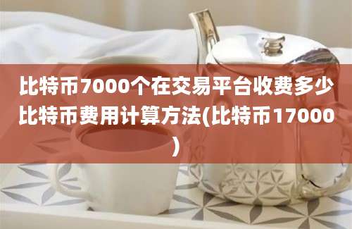 比特币7000个在交易平台收费多少比特币费用计算方法(比特币17000)