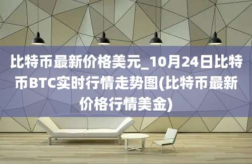 比特币最新价格美元_10月24日比特币BTC实时行情走势图(比特币最新价格行情美金)