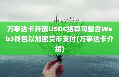 万事达卡开放USDC结算可整合Web3钱包以加密货币支付(万事达卡介绍)