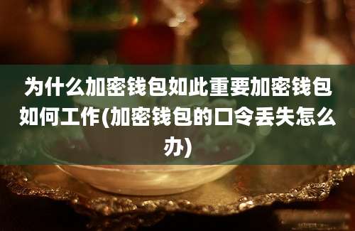 为什么加密钱包如此重要加密钱包如何工作(加密钱包的口令丢失怎么办)