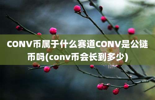 CONV币属于什么赛道CONV是公链币吗(conv币会长到多少)