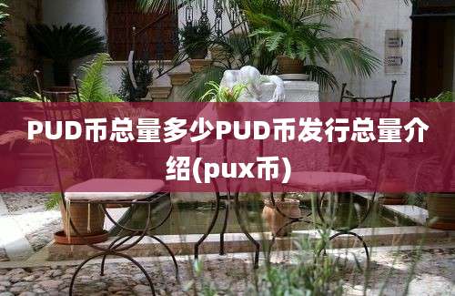 PUD币总量多少PUD币发行总量介绍(pux币)