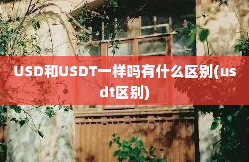 USD和USDT一样吗有什么区别(usdt区别)