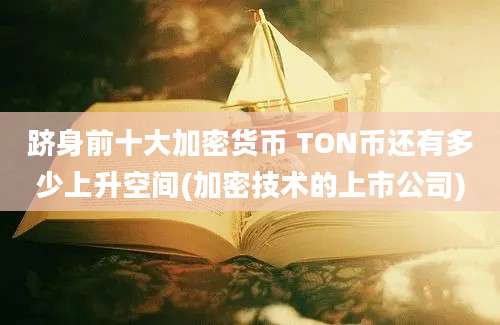 跻身前十大加密货币 TON币还有多少上升空间(加密技术的上市公司)