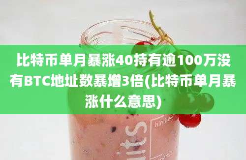 比特币单月暴涨40持有逾100万没有BTC地址数暴增3倍(比特币单月暴涨什么意思)