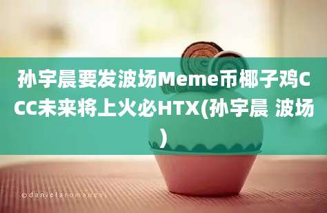 孙宇晨要发波场Meme币椰子鸡CCC未来将上火必HTX(孙宇晨 波场)