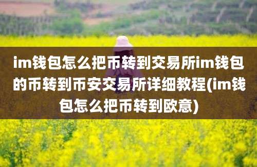 im钱包怎么把币转到交易所im钱包的币转到币安交易所详细教程(im钱包怎么把币转到欧意)