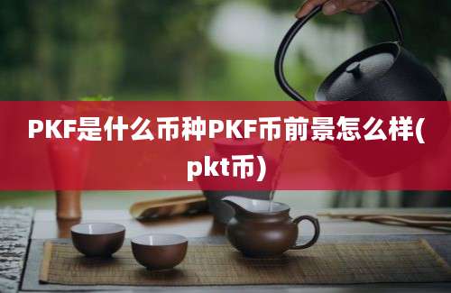 PKF是什么币种PKF币前景怎么样(pkt币)