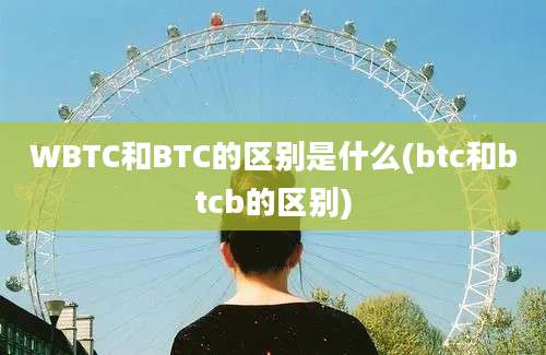 WBTC和BTC的区别是什么(btc和btcb的区别)