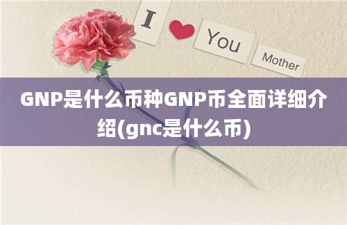 GNP是什么币种GNP币全面详细介绍(gnc是什么币)