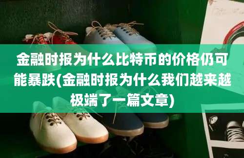 金融时报为什么比特币的价格仍可能暴跌(金融时报为什么我们越来越极端了一篇文章)