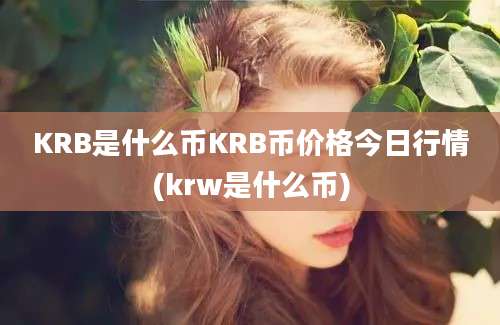 KRB是什么币KRB币价格今日行情(krw是什么币)