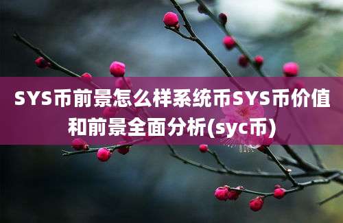 SYS币前景怎么样系统币SYS币价值和前景全面分析(syc币)