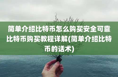 简单介绍比特币怎么购买安全可靠比特币购买教程详解(简单介绍比特币的话术)