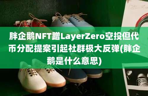 胖企鹅NFT蹭LayerZero空投但代币分配提案引起社群极大反弹(胖企鹅是什么意思)