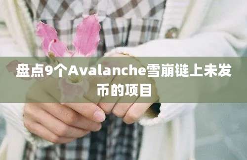 盘点9个Avalanche雪崩链上未发币的项目