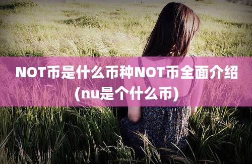 NOT币是什么币种NOT币全面介绍(nu是个什么币)