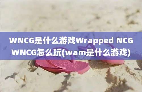 WNCG是什么游戏Wrapped NCGWNCG怎么玩(wam是什么游戏)