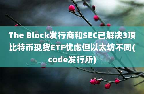 The Block发行商和SEC已解决3项比特币现货ETF忧虑但以太坊不同(code发行所)