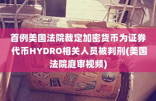 首例美国法院裁定加密货币为证券 代币HYDRO相关人员被判刑(美国法院庭审视频)