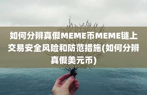 如何分辨真假MEME币MEME链上交易安全风险和防范措施(如何分辨真假美元币)