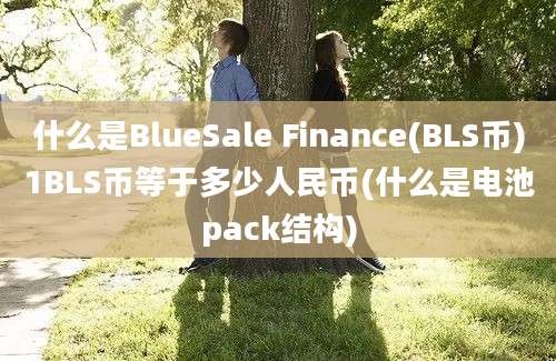 什么是BlueSale Finance(BLS币)1BLS币等于多少人民币(什么是电池pack结构)