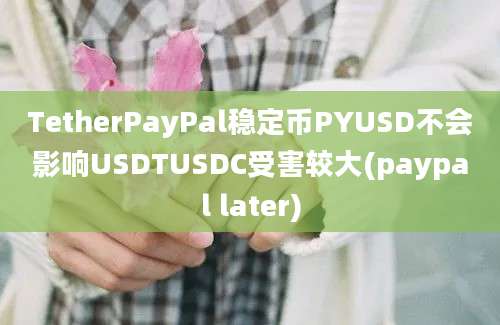 TetherPayPal稳定币PYUSD不会影响USDTUSDC受害较大(paypal later)