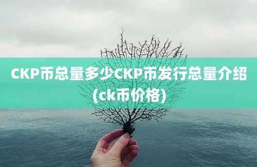 CKP币总量多少CKP币发行总量介绍(ck币价格)