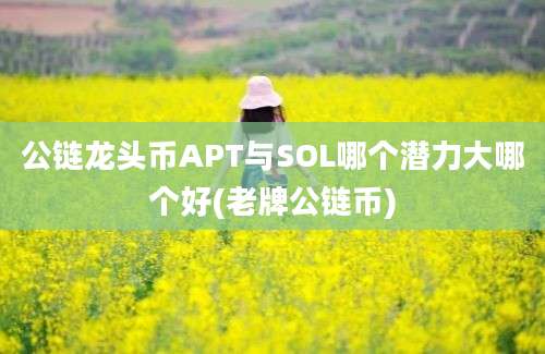 公链龙头币APT与SOL哪个潜力大哪个好(老牌公链币)