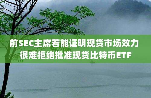 前SEC主席若能证明现货市场效力 很难拒绝批准现货比特币ETF