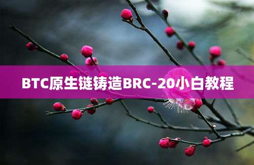 BTC原生链铸造BRC-20小白教程