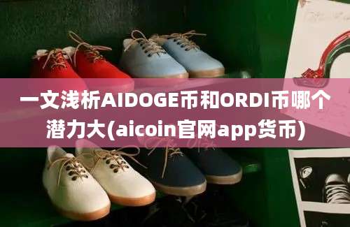 一文浅析AIDOGE币和ORDI币哪个潜力大(aicoin官网app货币)