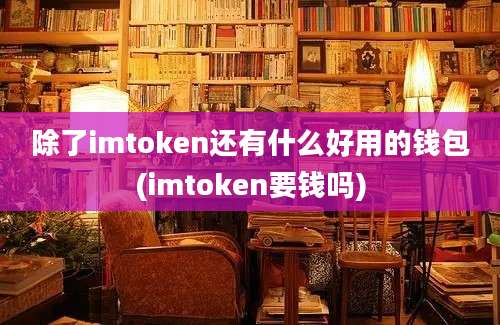 除了imtoken还有什么好用的钱包(imtoken要钱吗)