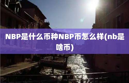 NBP是什么币种NBP币怎么样(nb是啥币)