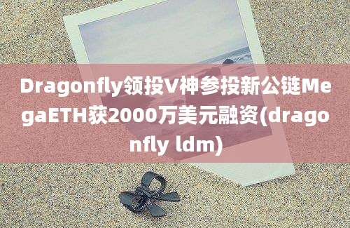 Dragonfly领投V神参投新公链MegaETH获2000万美元融资(dragonfly ldm)