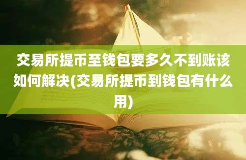 交易所提币至钱包要多久不到账该如何解决(交易所提币到钱包有什么用)